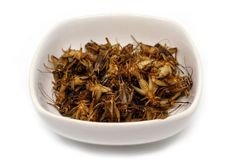 fried crickets,This local popular Thai food of northeast people