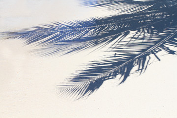 plage des caraïbes 09102016 