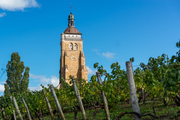 Clocher Comtois &agrave; Arbois