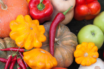 Vegetables, harvesting