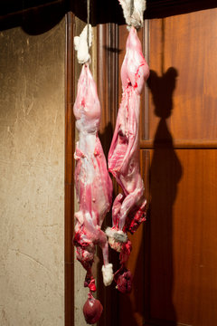 Conejos despellejados en ambiente rural