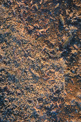 Frozen ground in golden morning light