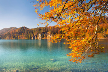 sonniger Herbsttag am See, leuchtend bunte Blätter