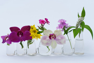 Blumenarrangement in Reihenvase mit Orchidee, Phlox und Felberic