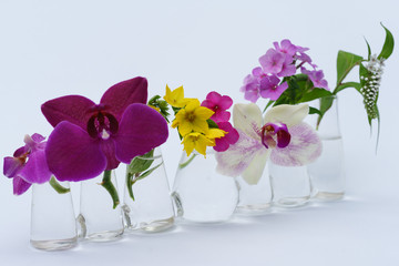 Blumenarrangement in Reihenvase mit Orchidee, Phlox und Felberic