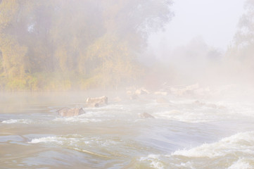 Small river in the autumn season