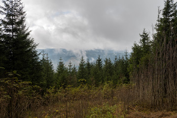 Berge in Deutschland
