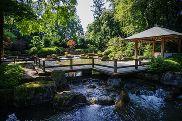 Fototapeta na wymiar Morgenlicht auf Blattwerk und Pagoden im Japanischen Garten