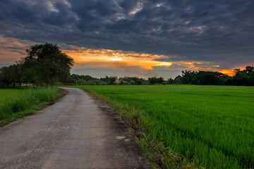 red sunset over road