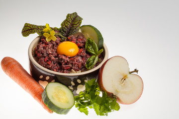 Hundefutter appetitlich präsentiert mit Obst und Gemüse