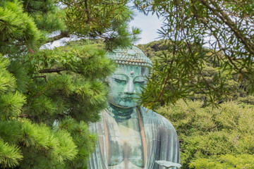 The Great Buddha in Kamakura Japan which is surrounded by green leaves.There are pigeon to Buddha's head.