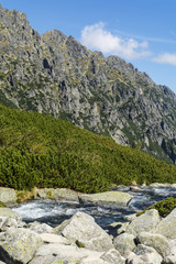 Mountain stream.