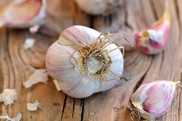 Organic garlic on old wooden background.