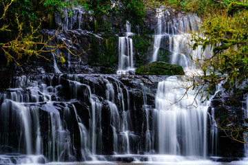 Water, Gravity and Forest