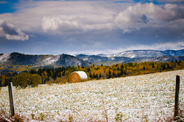 Winter Farmland