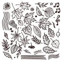 Floral pack with leaves and decorative elements marker sketch set, autumn leaf