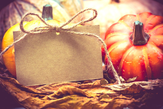 Thanksgiving background, Harvest in fall autumn season 