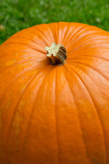 Pumpkin background