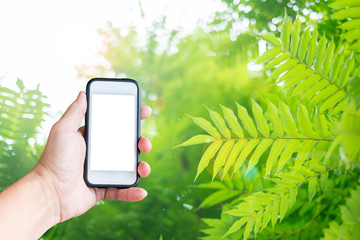 Smart phone in male hands