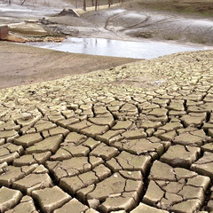 Lac asséché - Terre craquelée desséchée formant des motifs géométriques caractéristiques ...