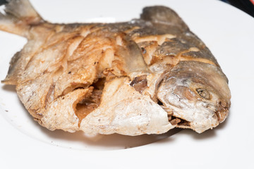 Pomfrets fried in White dish