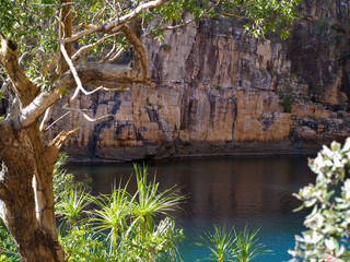 River in the australian outback