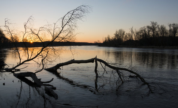 Dayspring Images – Browse 11,761,160 Stock Photos, Vectors, and Video ...