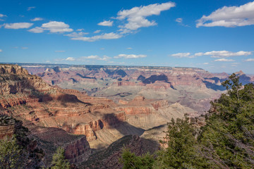 Grand Canyon South Rim Landscape