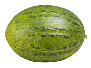 Green melon isolated on white background with clipping path