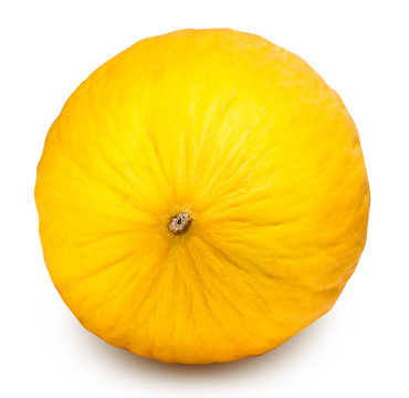Yellow melon isolated on white background with clipping path