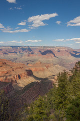 Grand Canyon South Rim Landscape