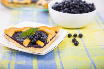 Piece of a blueberry pie