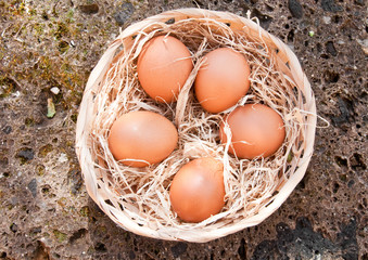 Fresh eggs on straw in a basket