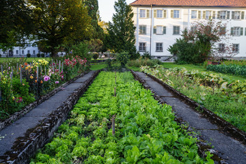 Fototapeta na wymiar Kloster, Klostergarten, Österreich, Mehrerau, Blick auf den Klostergarten mit langen Beeten mit Salat eingefasst von blühenden Blumen