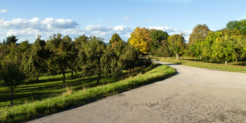 Apfelbäume Heutensbach