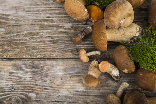 Raw mushrooms on a wooden table. Boletus edulis.