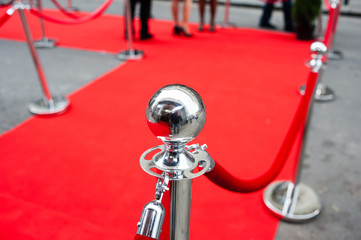 Red Carpet -  is traditionally used to mark the route taken by heads of state on ceremonial and...