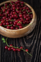 Fresh red currants