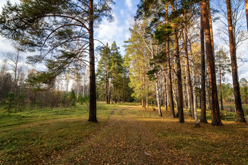 Fototapeta premium панорама осеннего пейзажа в лесу с озером, Россия, Урал
