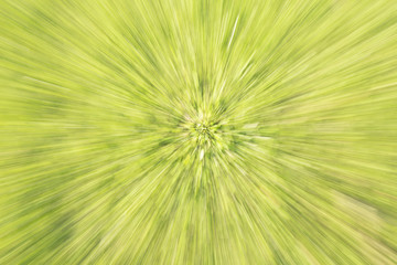 abstrakter Hintergrund, grün, mit Bewegung