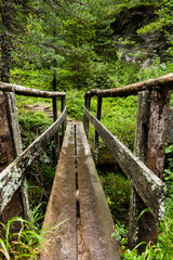 Fototapeta premium Wooden bridge