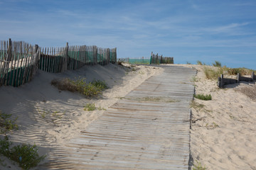 Wooden walkway on sandy beach going between sand dunes