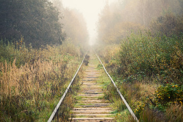 Empty railway goes through foggy forest