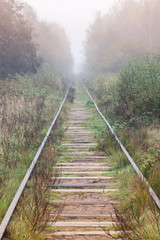 Empty railway goes in foggy forest