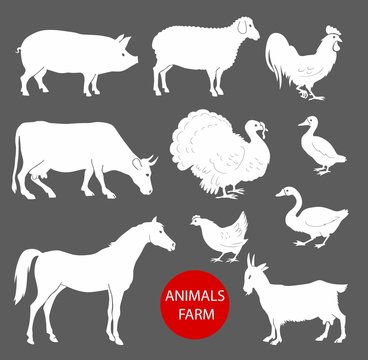 set of farm animals cow, sheep, goat, pig, horse. Set of detailed quality silhouettes of chicken, rooster, goose, turkey, duck.