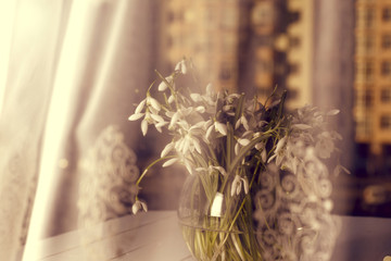 the sun on the window sill delicate bouquet in glass  vase