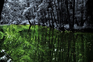 Water means life
