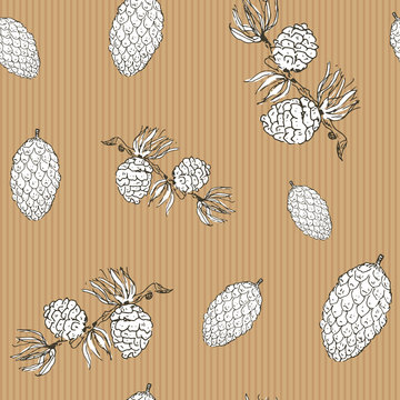 Pine cones hand drawn sketch retro, vintage Seamless Pattern. Vector Illustration.