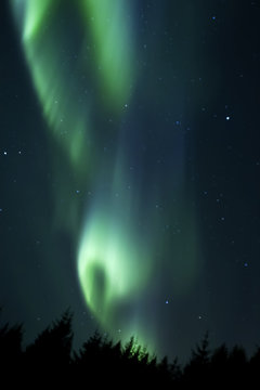 Beautiful northern light aurora borealis in the night sky of Iceland