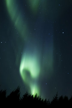 Beautiful northern light aurora borealis in the night sky of Iceland